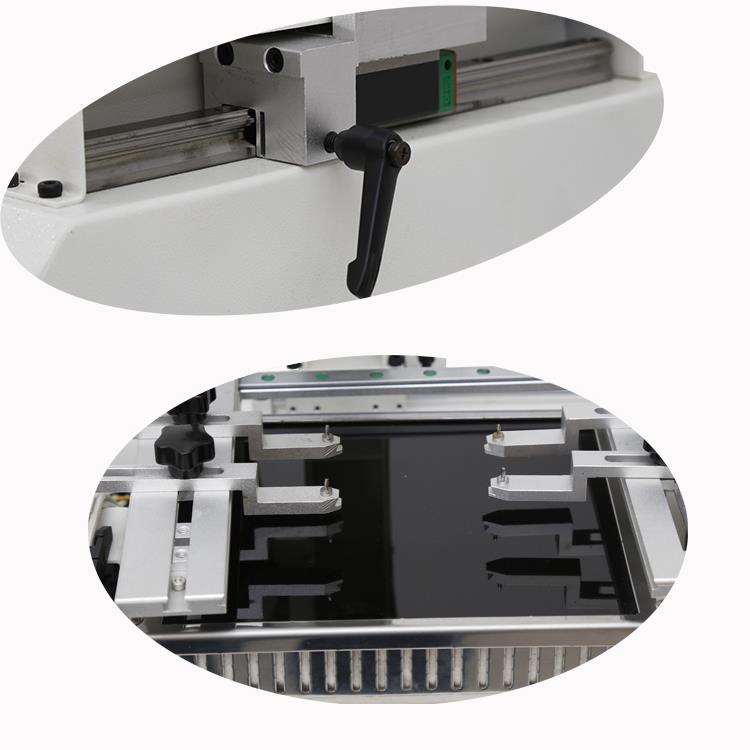 freely frondward or backward.jpg